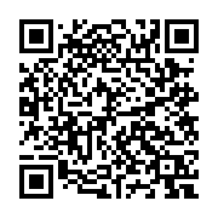 QR code for N420GP