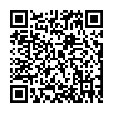 QR code for N420T