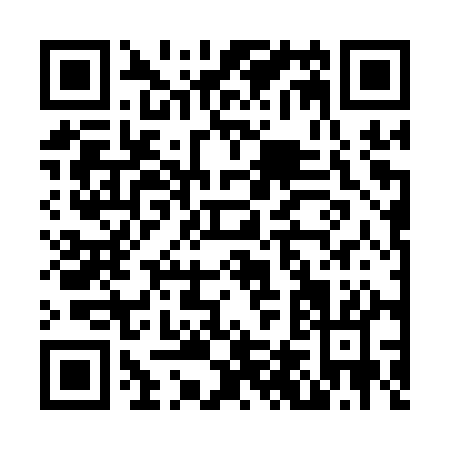 QR code for N421Q