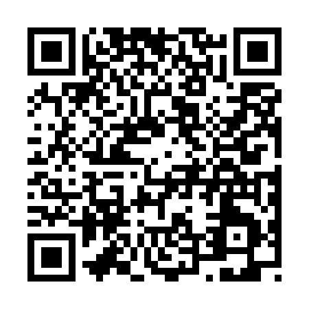 QR code for N425E