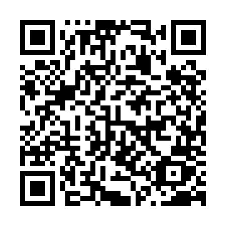 QR code for N451NZ