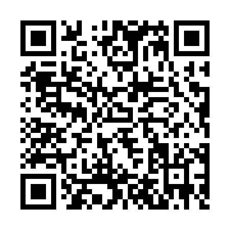 QR code for N453X