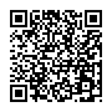 QR code for N460V