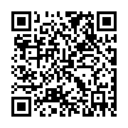 QR code for N461CE