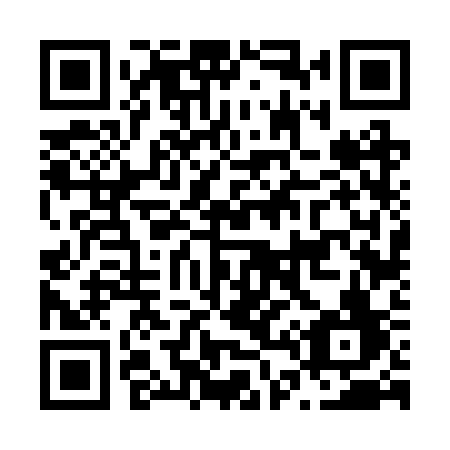 QR code for plate N46 2SF