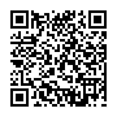 QR code for N466M
