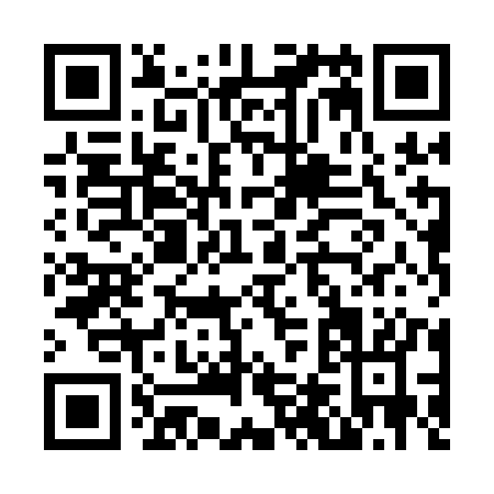 QR code for N481K