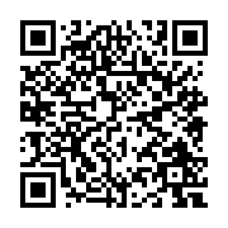 QR code for N486B
