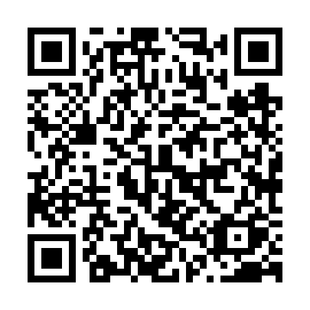 QR code for N486RQ