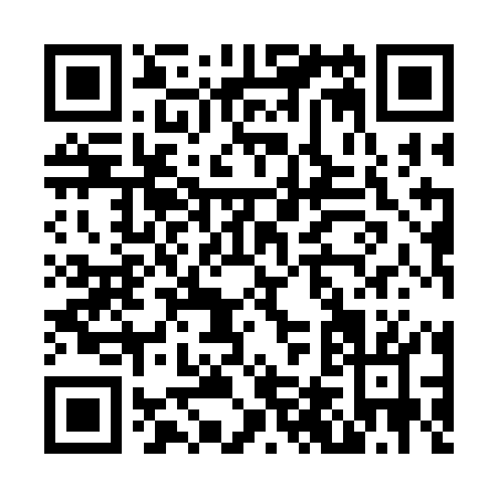 QR code for N493O