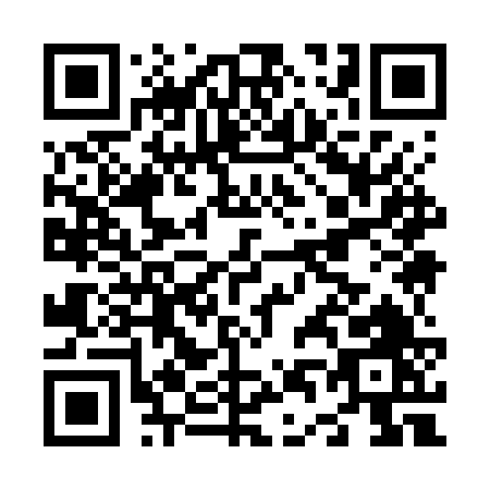 QR code for N497V