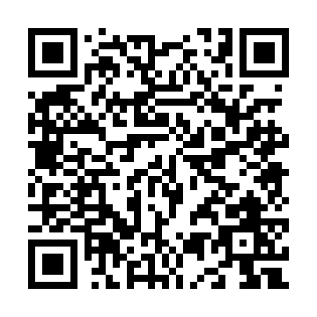 QR code for N500G