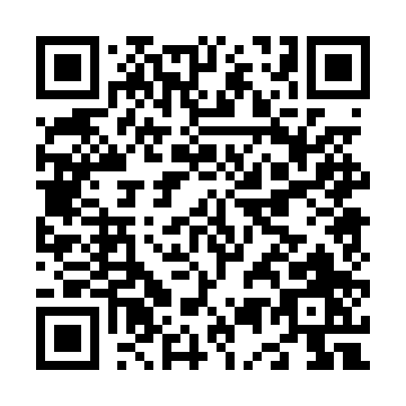 QR code for N500P