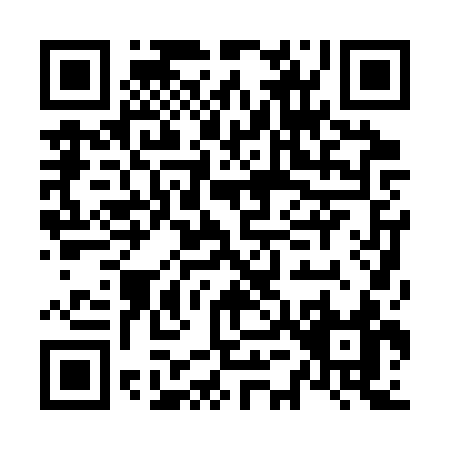 QR code for N503S