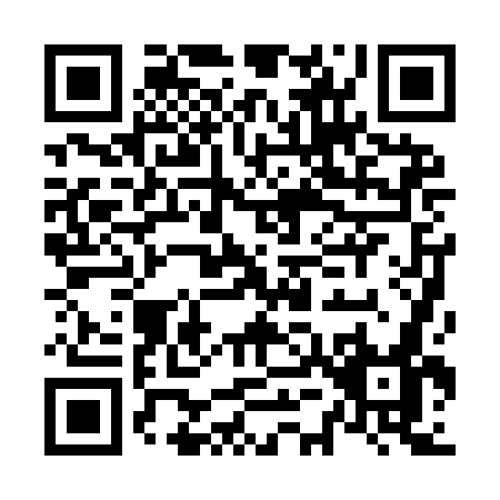 QR code for N509G