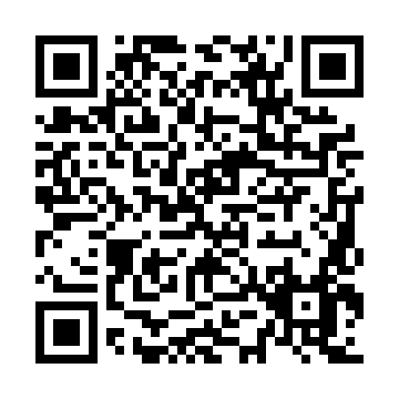 QR code for N510L