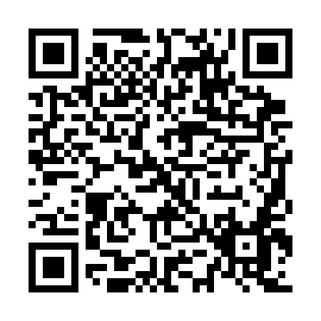QR code for N513E