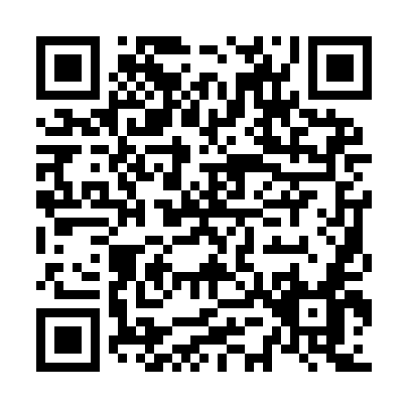 QR code for N519E