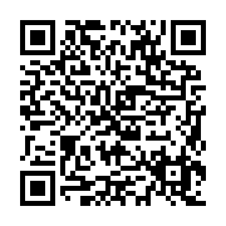 QR code for N519Z