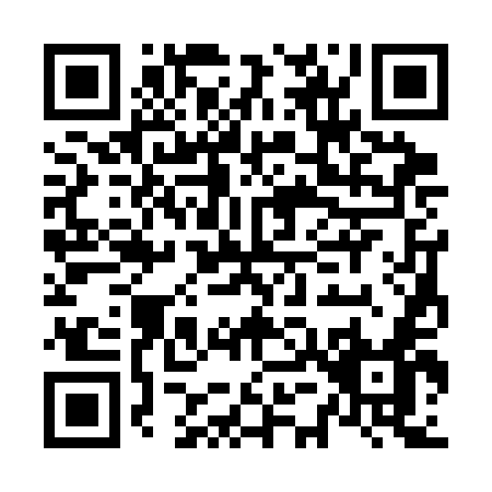 QR code for N533E