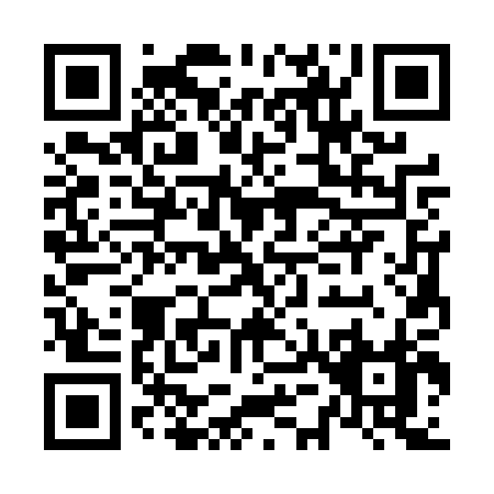 QR code for N534P
