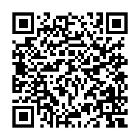 QR code for N538I