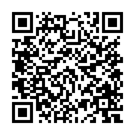 QR code for N538X
