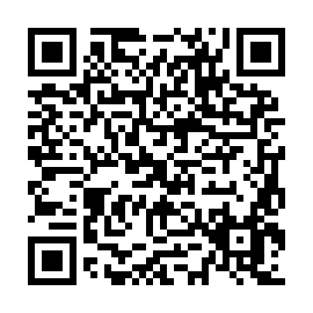 QR code for N539L