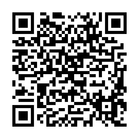 QR code for N550Y