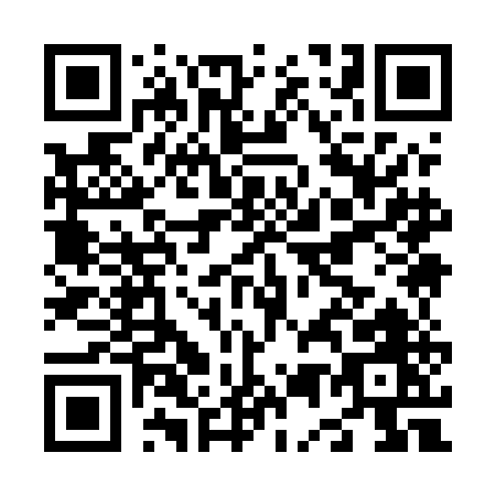 QR code for N595E