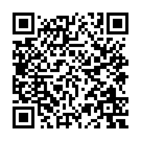 QR code for N595S