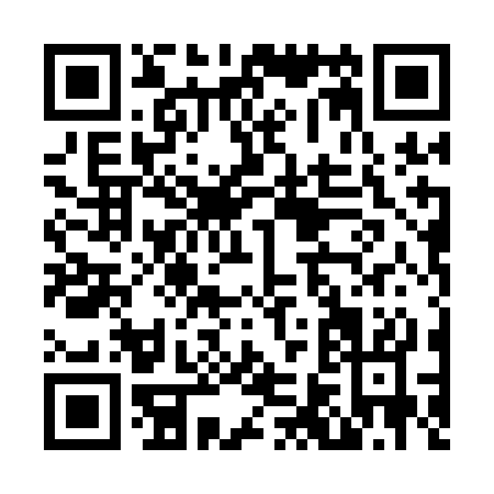 QR code for N601C