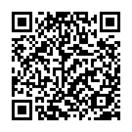 QR code for N619MI
