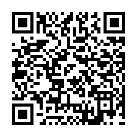QR code for N619P