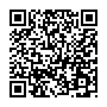 QR code for N641X