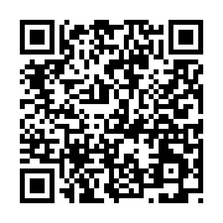 QR code for N656L