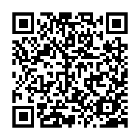 QR code for plate N66 3PM