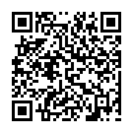 QR code for N667ML