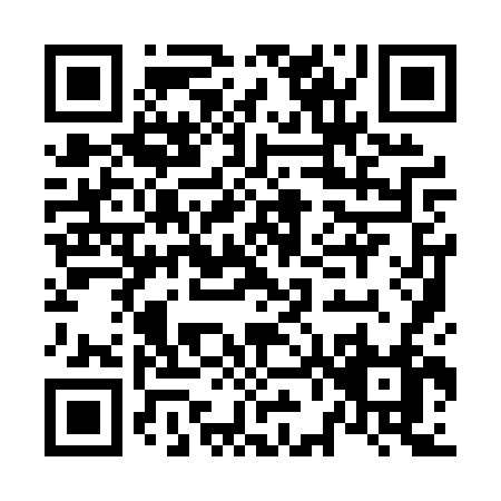 QR code for N690V