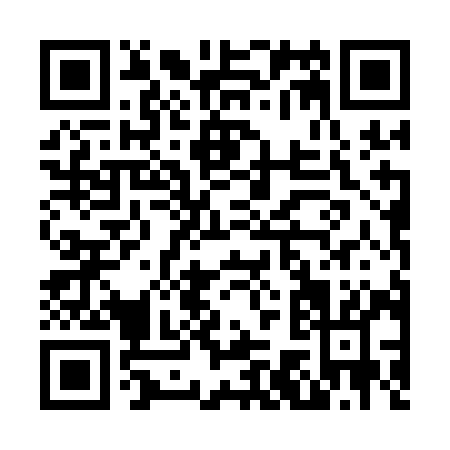 QR code for N741I