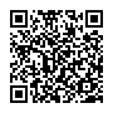 QR code for plate N80 5ST