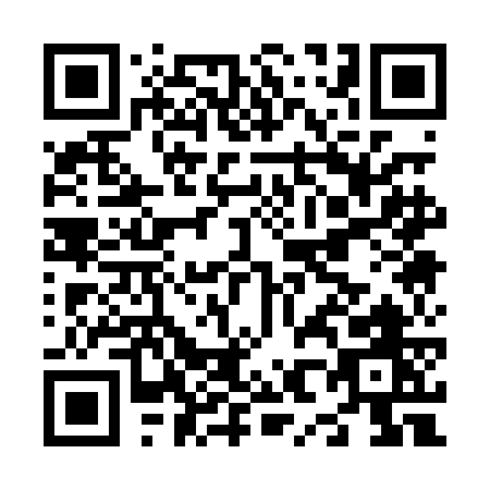 QR code for N810G