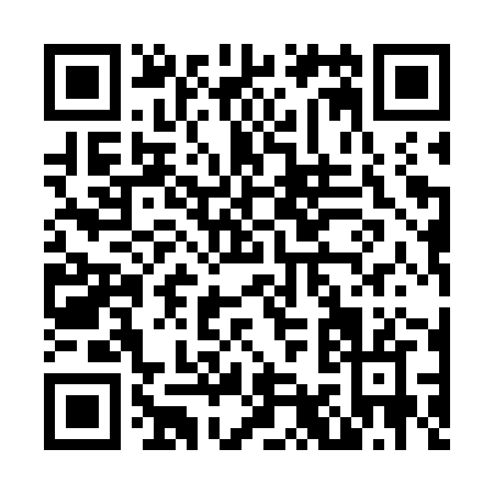 QR code for N917Z