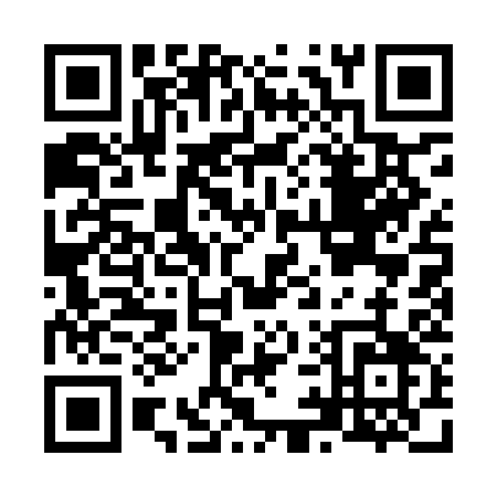 QR code for N919C
