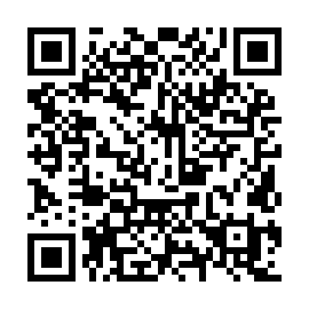 QR code for plate N91 9LI