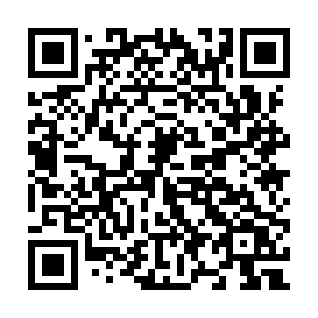 QR code for N919PV
