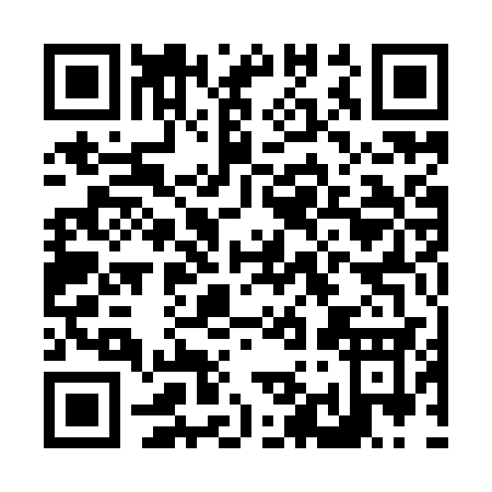 QR code for N919S