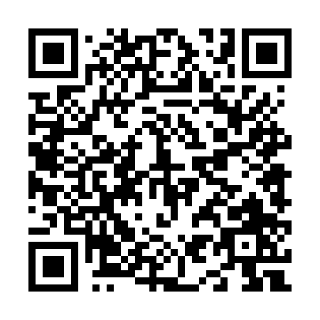 QR code for N946P