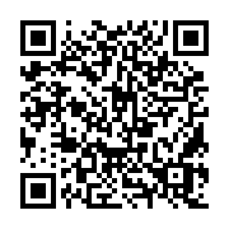 QR code for N95 2OV