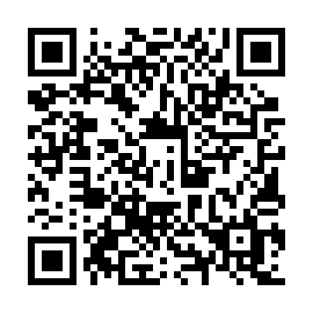 QR code for N95 2QL